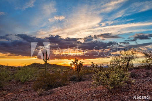 Picture of Arizona desert sunset